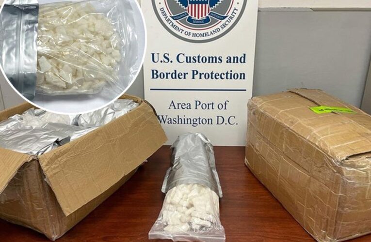 70 pounds of psychoactive drugs from China labeled as beauty products seized at US airport: officials