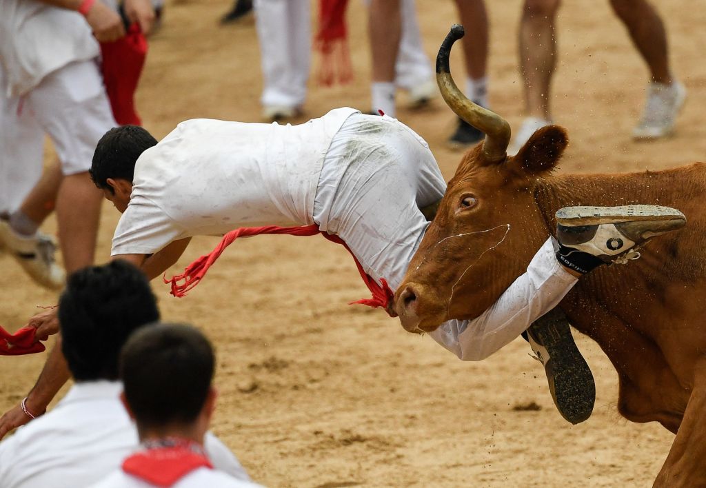 A man getting gored by a bull's horns at the festival.