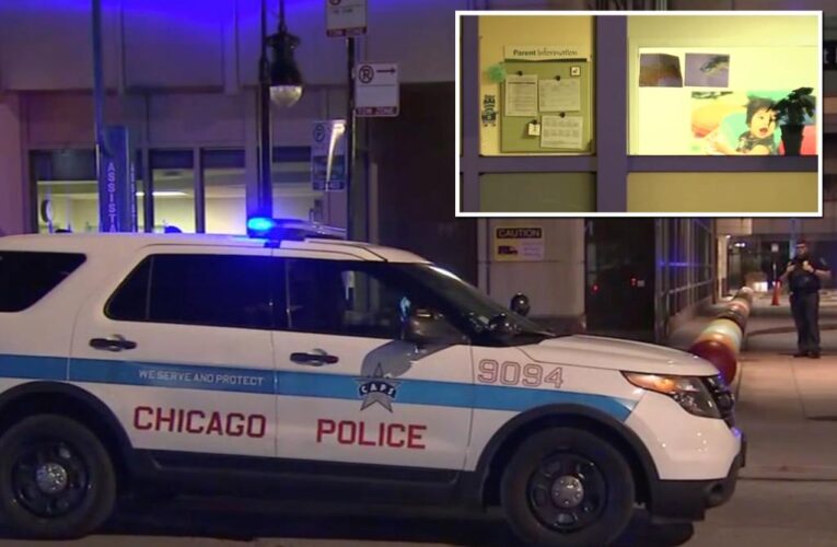 Chicago newborns found dead at Bernice Lavin Early day care