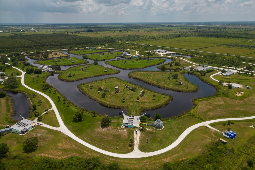 The 150-acre refuge center is home to 226 chimps.