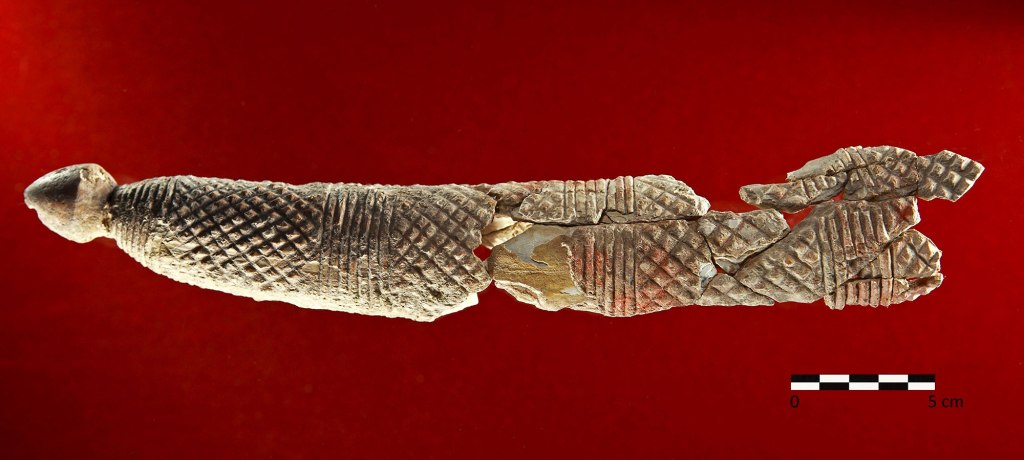 A decorated ivory tusk discovered in a tomb in Valencina, Spain, dated between 3,200 and 2,200 years ago. 