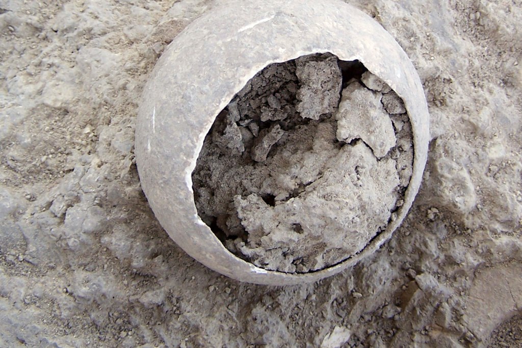 An ostrich egg discovered in a tomb in Valencina, Spain, dated between 3,200 and 2,200 years ago. 