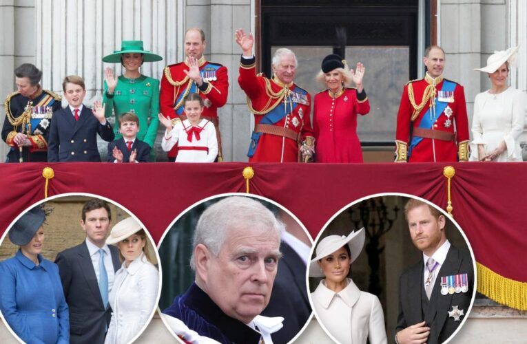 King Charles, ‘tragic’ royals are fighting ‘factions’: body language expert