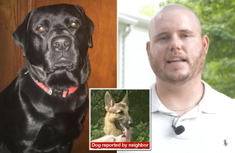 Cop hunting aggressive dog shoots family’s Labrador