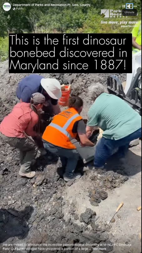 scientists at dig site in Maryland