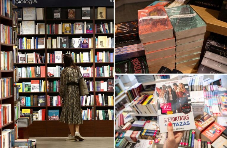 Hungarian bookstore Lira fined $36K over LGBTQ graphic novel ‘Heartstopper’