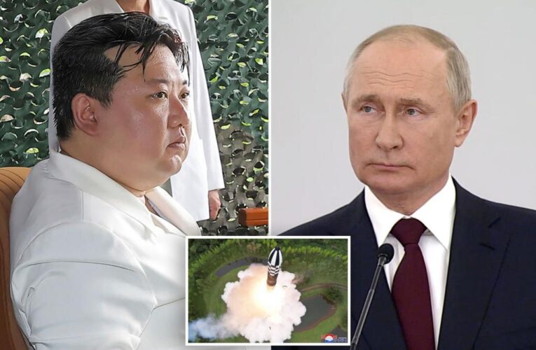 Russia searches for crashed North Korean nuke in its waters: officials