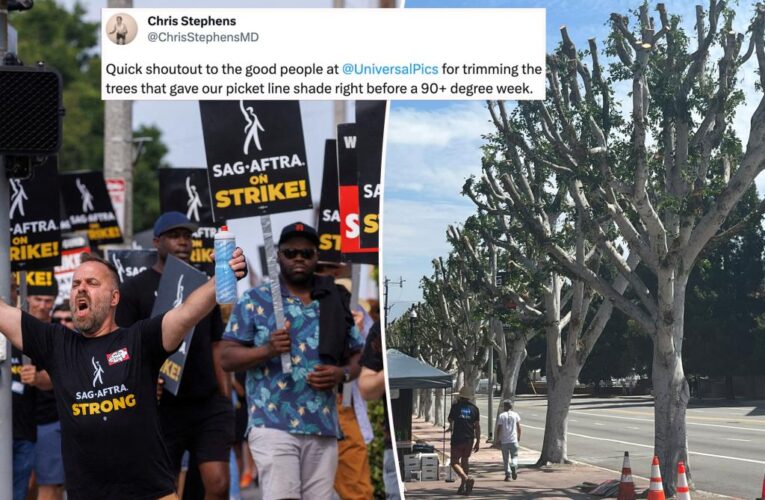 Studios cut trees that shaded Hollywood strikers amid brutal heatwave