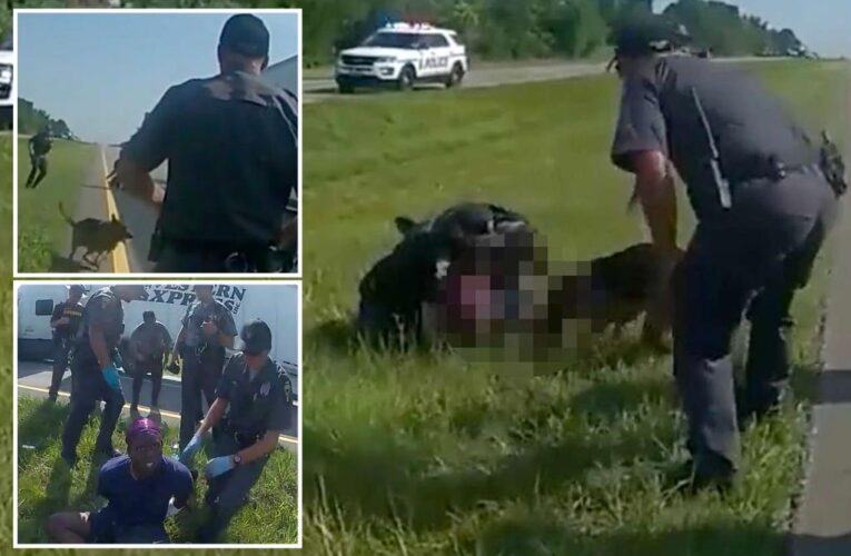 Shocking video captures Ohio cop unleashing K-9 on black trucker