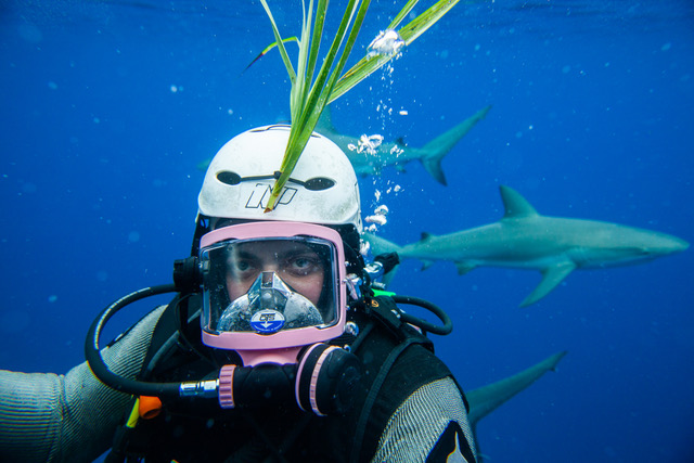 Tom Hird underwater with some sharks. He's wearing scuba diving gear and looking straight at the camera.