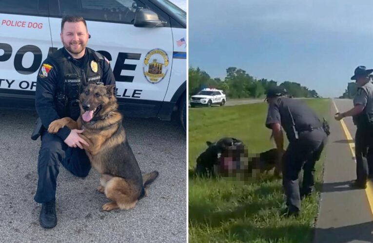 Ohio cop fired for unleashing K9 on surrendering trucker