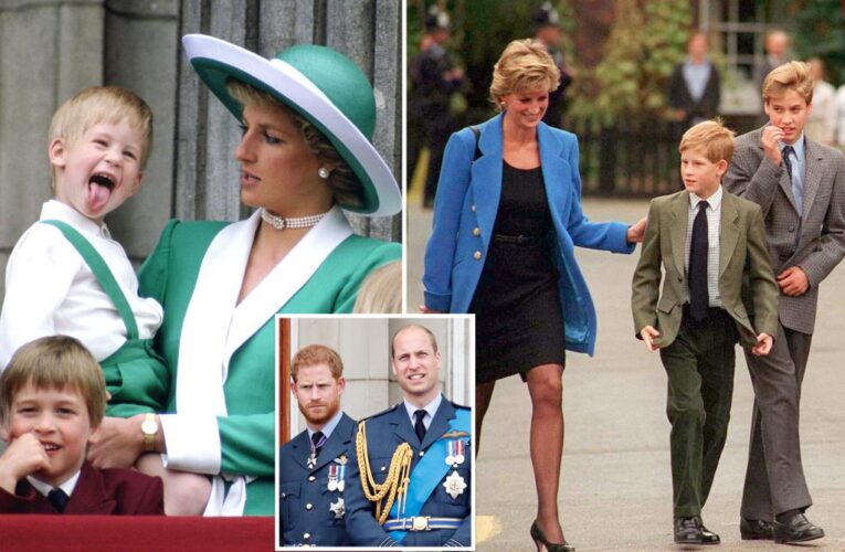 Princess Diana ‘only person’ who could mend Harry and William feud: royal expert