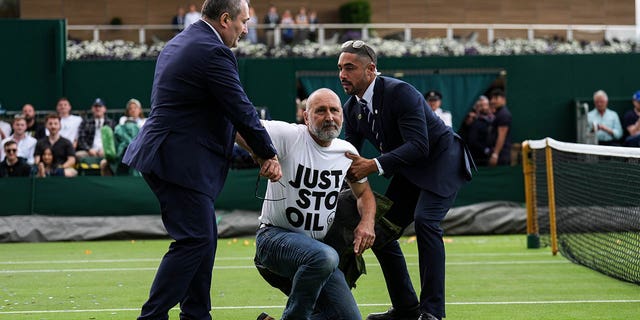 Protester arrested by security at Wimbledon