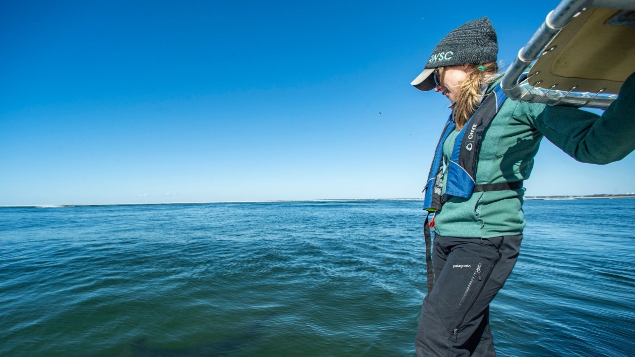 AWSC scientist Megan Winton