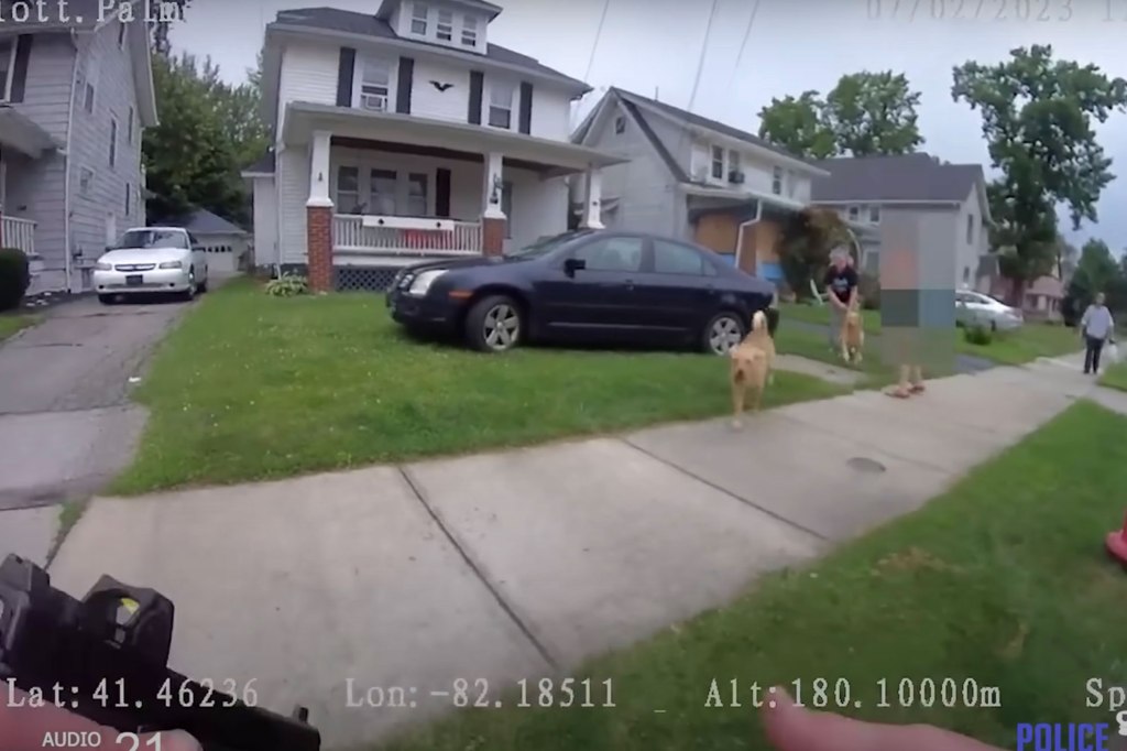 Disturbing videos have surfaced on social media of a Lorain dog getting shot by a police officer on Sunday, and it's making a lot of people upset online.