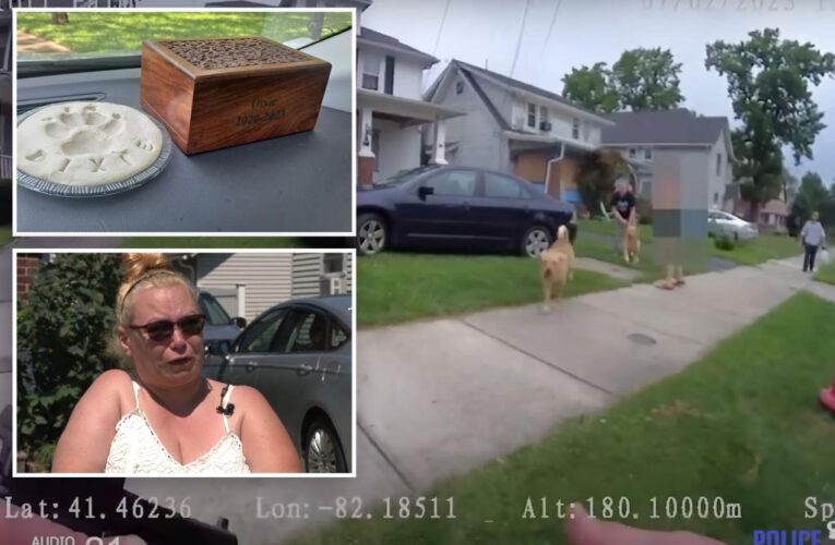 Ohio cop Elliott Palmer shot golden retriever dead in front of family: video