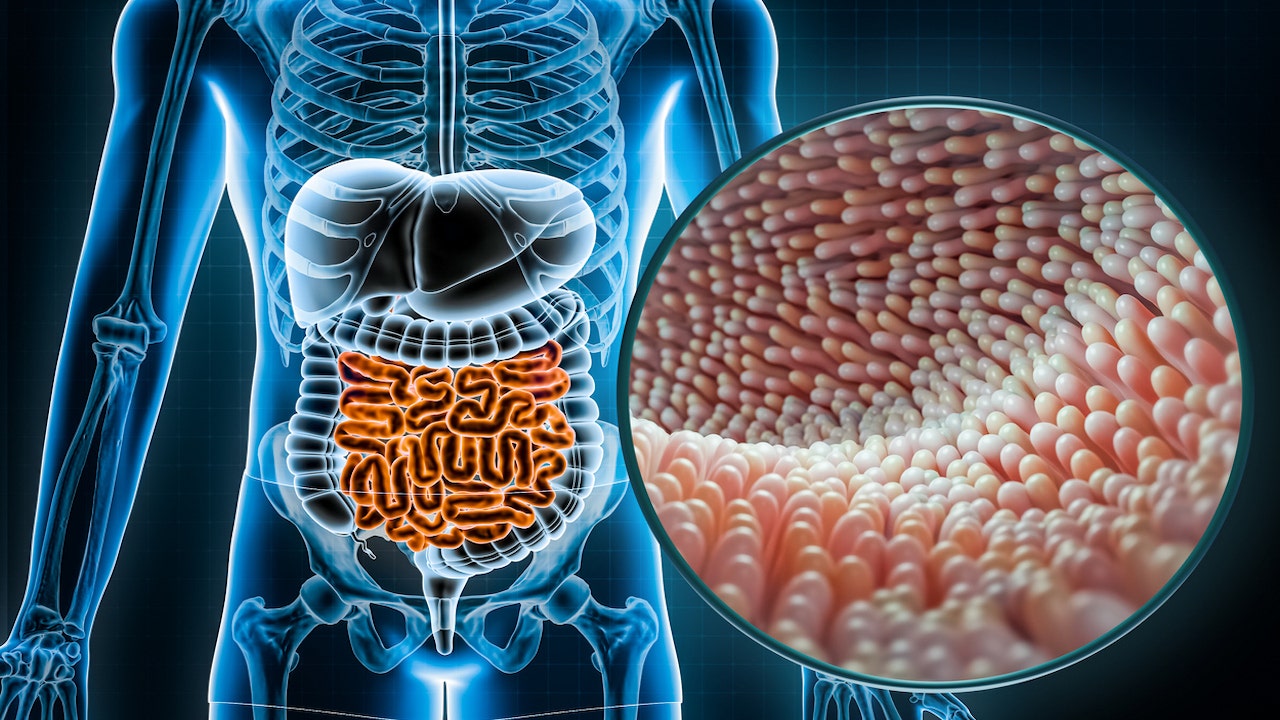 Gut microbiome