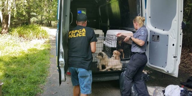 Authorites carrying crates of dogs