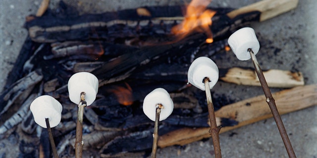 Marshmallows cooking over a campfire 