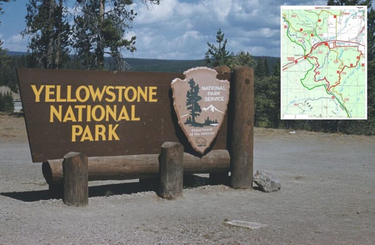Woman found dead near Yellowstone National Park after ‘bear encounter’