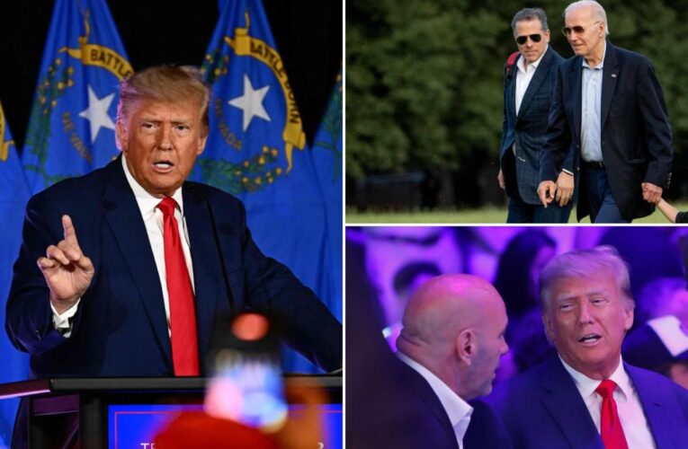 Trump warns Biden ‘gloves are off’ in speech before attending UFC 290