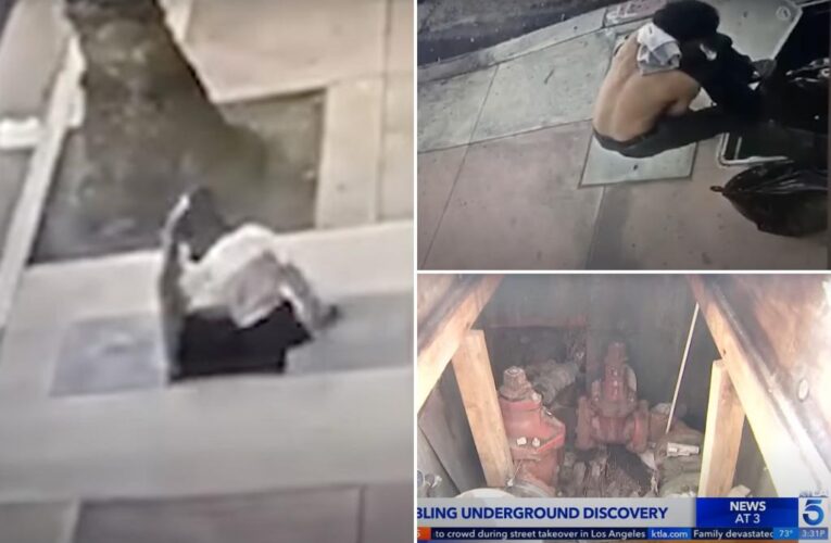 Los Angeles homeless man found found living in utility vault outside museum