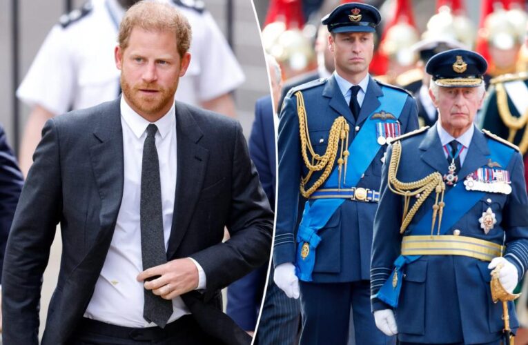 King Charles, Prince William ‘massively irritated’ by Harry’s latest court battle: report