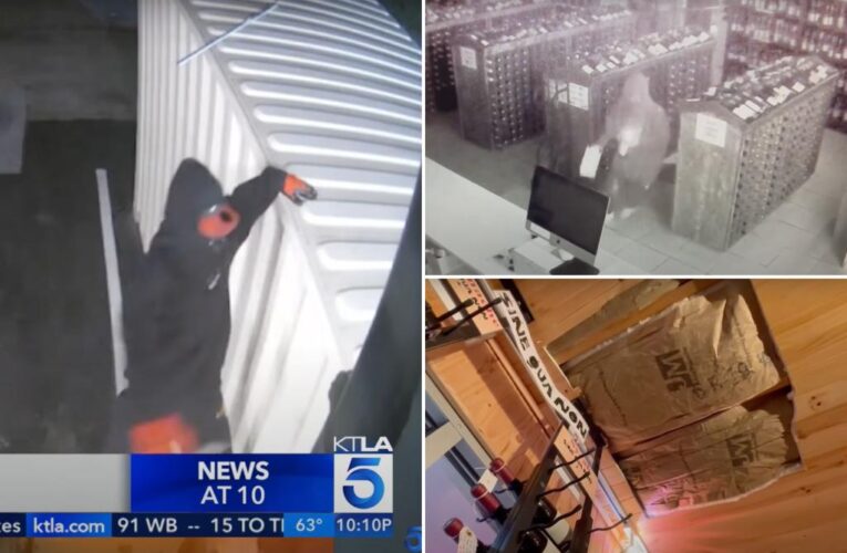 LA Thieves make off with $700K worth of rare wine from liquor store