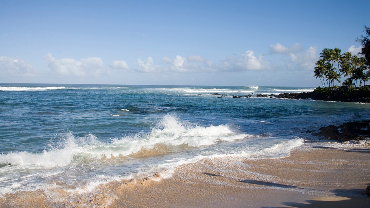 North shore beach, Hawaii 