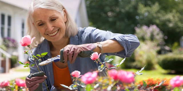 Older woman gardening