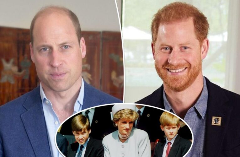 Estranged Princes Harry, William unite to honor Diana’s legacy