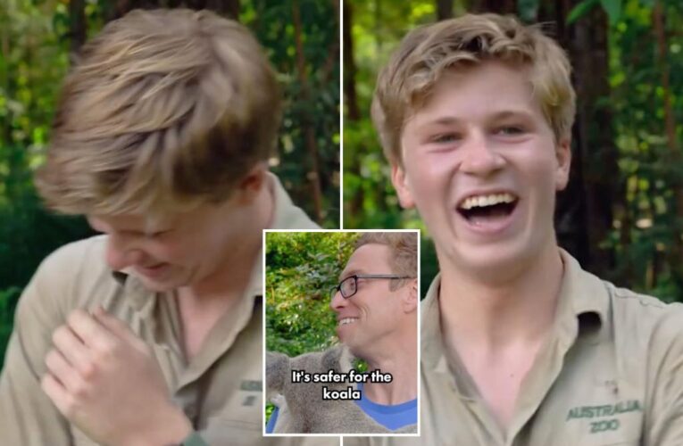 Robert Irwin ‘flustered’ by sex admission mid-interview