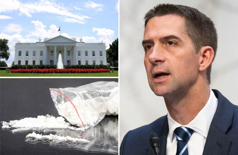 Tom Cotton wants to know more about cocaine found at White House