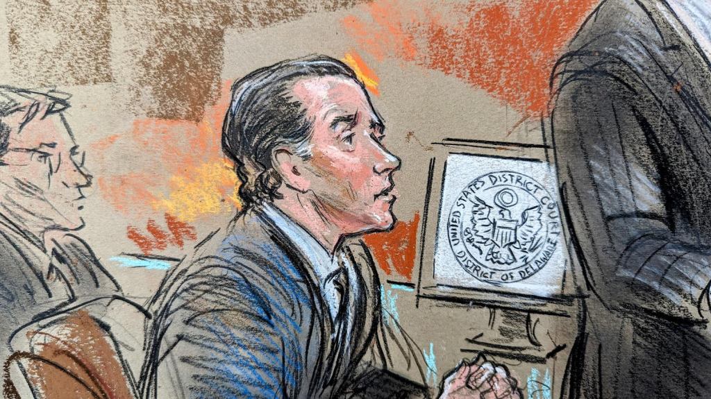 Hunter Biden court sketch 
