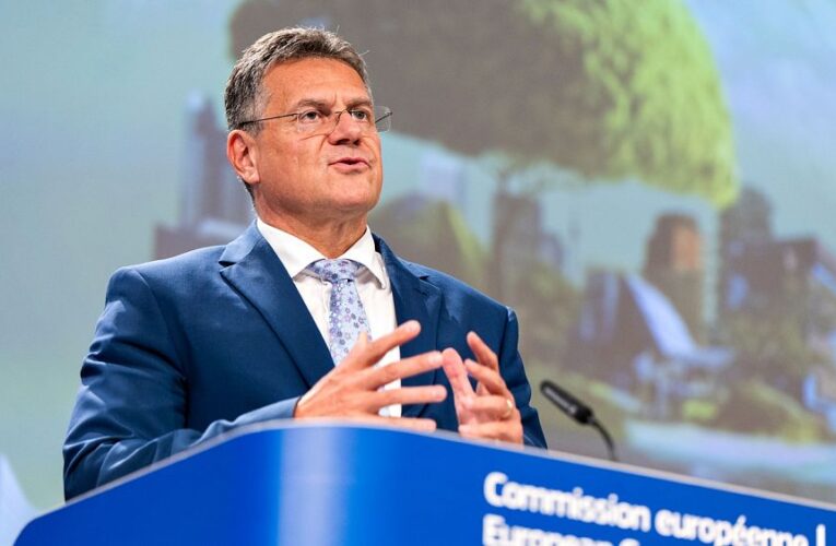 Rolling out the Green Deal will be ‘challenging,’ warns Maroš Šefčovič, the EU’s new climate czar