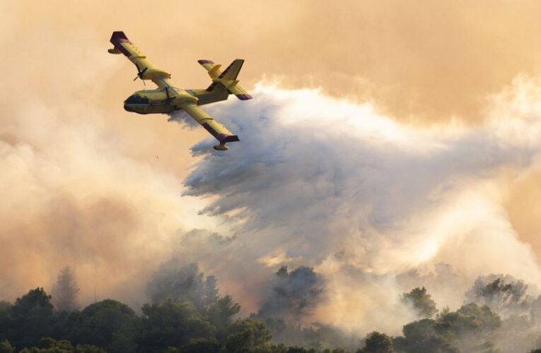 Wildfire prevention: How Europe plans to handle blazes in the years ahead