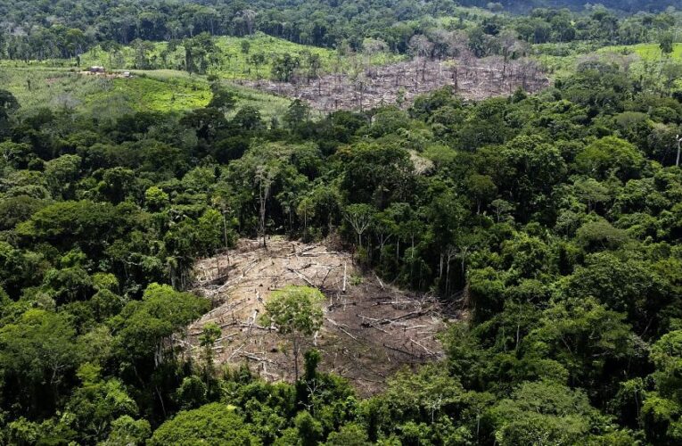 The EU’s deforestation law was cheered here. Brazilian experts and farmers are skeptical