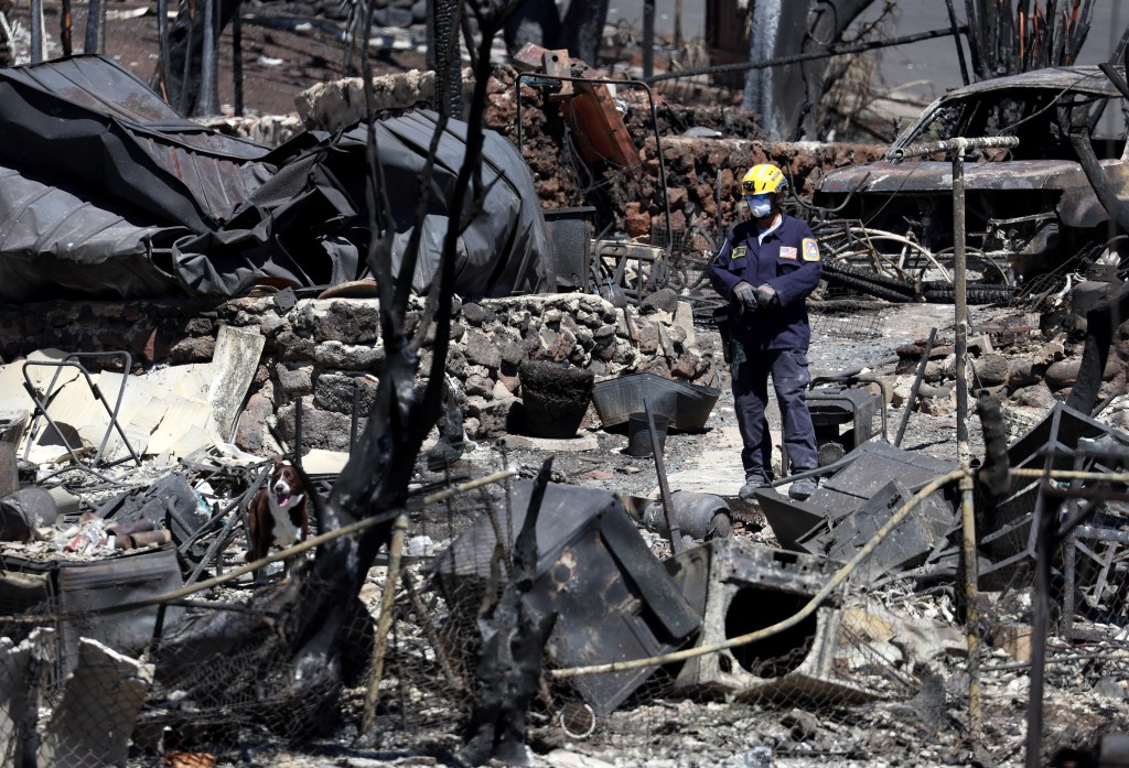 Search and rescue crews look through the remains of a neighborhood on Aug. 17, 2023 in Lahaina, Hawaii. 