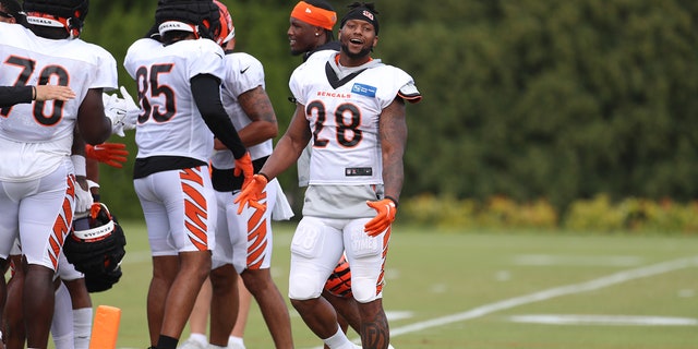 Joe Mixon at training camp