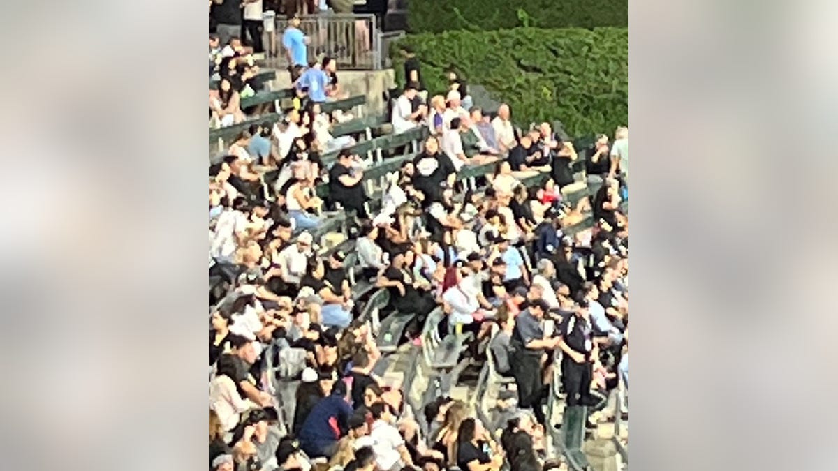 Guaranteed Rate Field bleachers