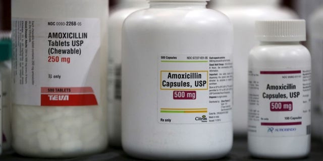 Amoxicillin penicillin antibiotics are seen in the pharmacy at a free medical and dental health clinic in Los Angeles