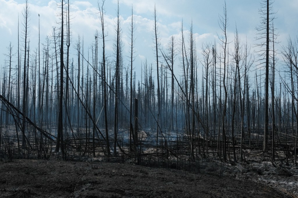 About 54,054 square miles of land, roughly the size of New York state, have already burned, and government officials project the fire season could stretch into autumn due to widespread drought-like conditions in Canada.