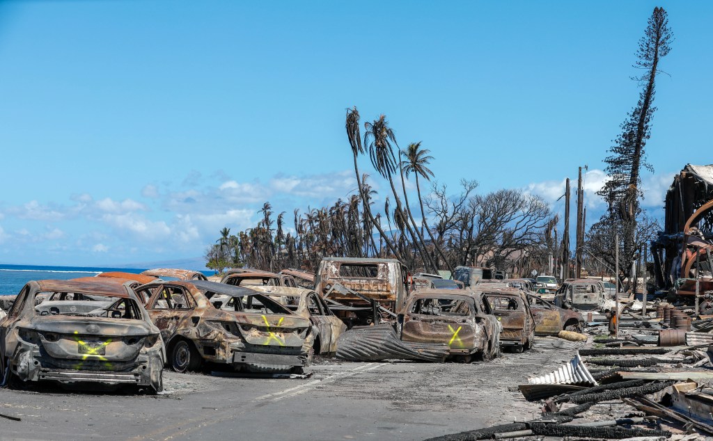 At least 114 people were killed by the flames, though officials expect the death toll to rise as authorities continue to search through the remaining 40% of the burn area.