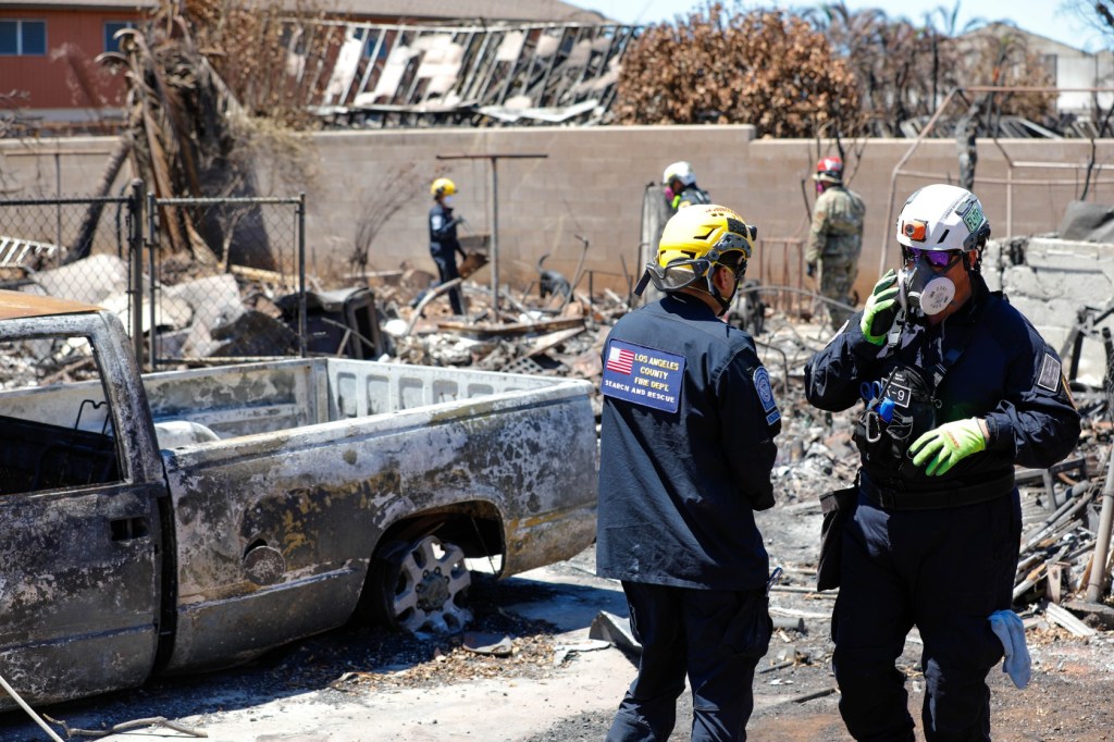 Urban Recovery teams search the burn zone for human remains in the aftermath of wildfires that swept across Western Maui, on Aug. 18, 2023 in Lahaina, Maui, Hawaii.