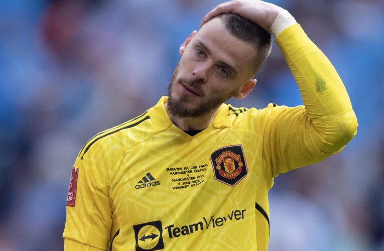 David de Gea open to move as Newcastle United search for Nick Pope replacement – Paper Round