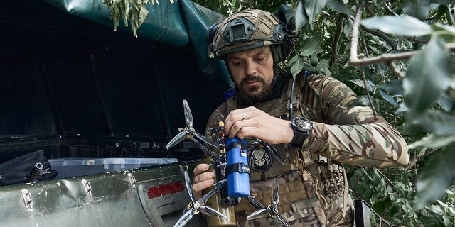 A Ukrainian soldier