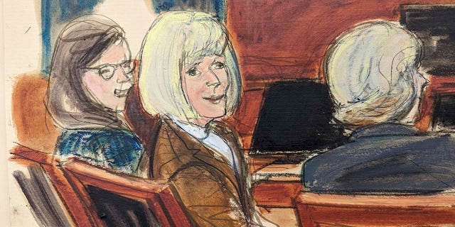 E. Jean Carroll court sketch