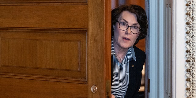 Democratic Nevada Sen. Jacky Rosen