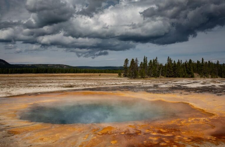 Drunk Michigan man Jason Wicks falls into Yellowstone hot springs thermal area, banned from park