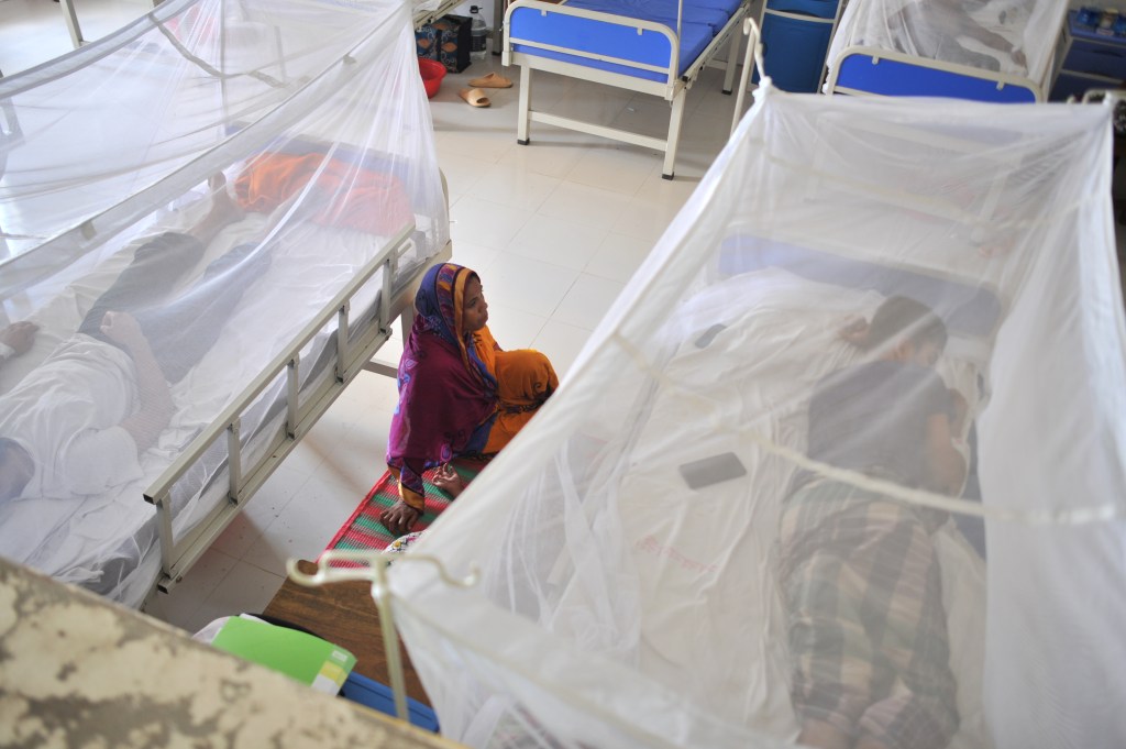 Americans have traditionally contracted dengue from traveling overseas to locations where it is widespread, such as Bangladesh, which has been fighting its own outbreak of the virus.